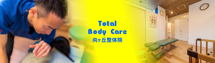 Total Body Care 向ヶ丘整体院