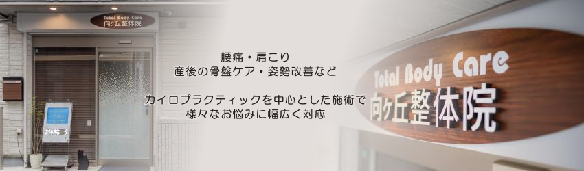 腰痛・肩こり・産後の骨盤ケア・姿勢改善など カイロプラクティックを中心とした施術で幅広いお悩みに対応